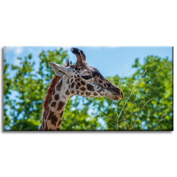 Canvastavla Djur Giraff 80x40 cm
