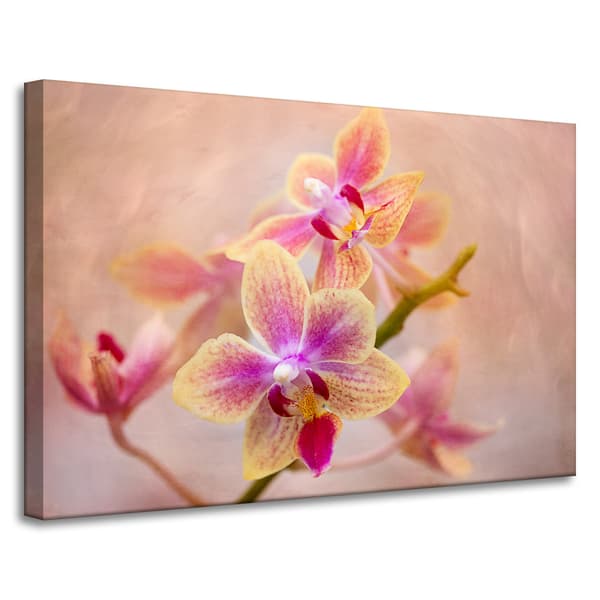 Lærredstryk Botanik Blomst Orkidé 90x60 cm