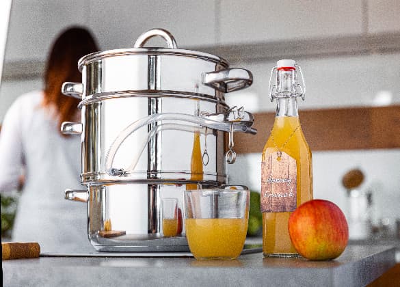 Florina 5 l induktionsjuicer