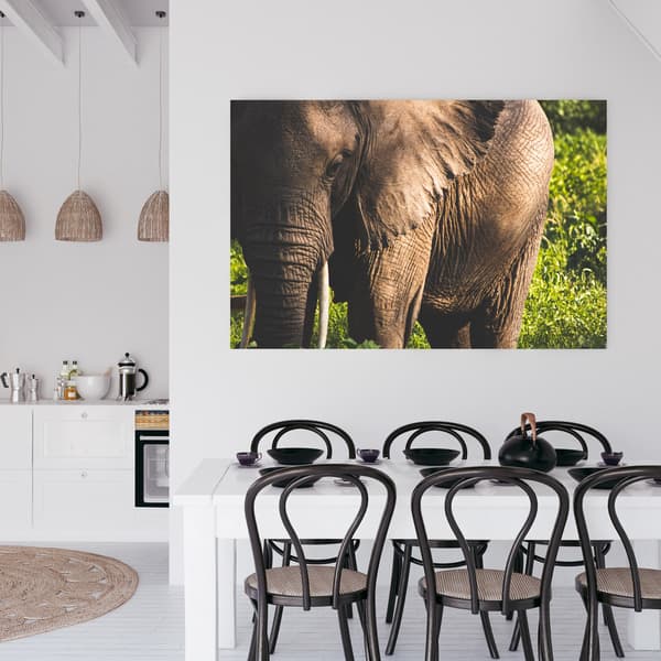 Lærredstryk Dyr Elefant Nærbillede 100x80