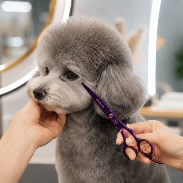 Offset grooming saks 7.0 til hunde- og kattesaloner Dewuu&Blue