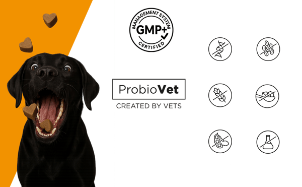 ProbioVet 2 x 120 st.