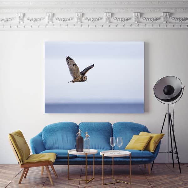 Canvastaulu Eläimet Pöllö lennossa 100x80 cm