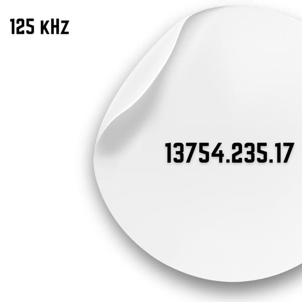 Mynt-ID RFID 125kHz UNIK adgangsmærkat