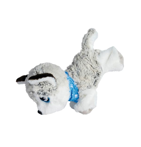 Chi Chi Rakkaus Onnellinen Husky