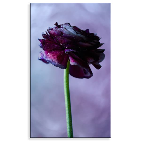 Canvastavla Botanik Lila blomma 60x100