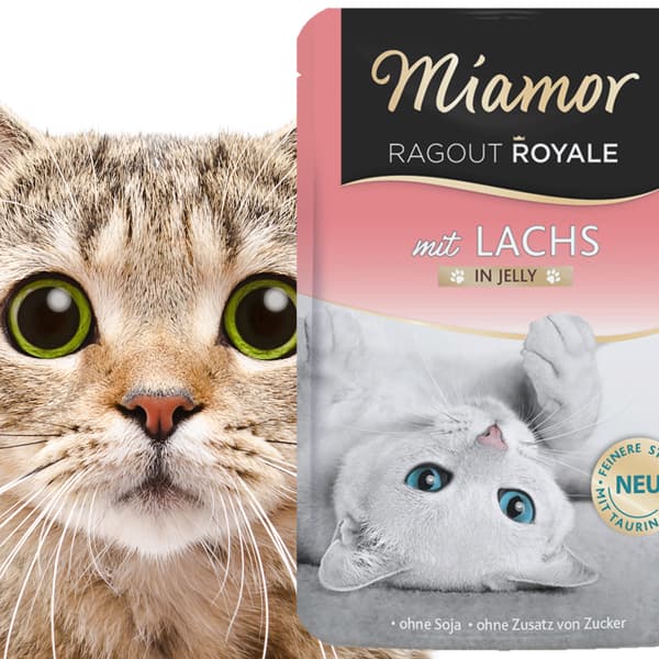 Miamor Royale med Lachs - våtfoder lax i gelé 100g
