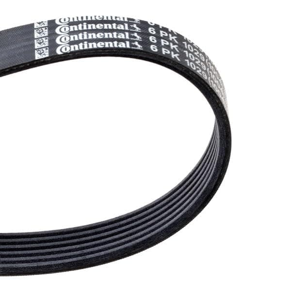CONTITECH 6 PK 1029 ELAST multiribbet rem