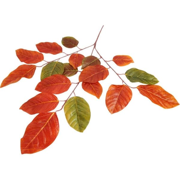 Bokbladsgren 70 cm orange