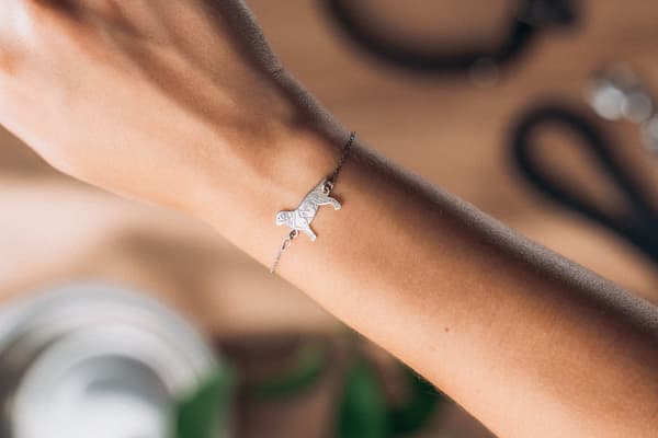 Silverarmband för labradorhundar på kedja