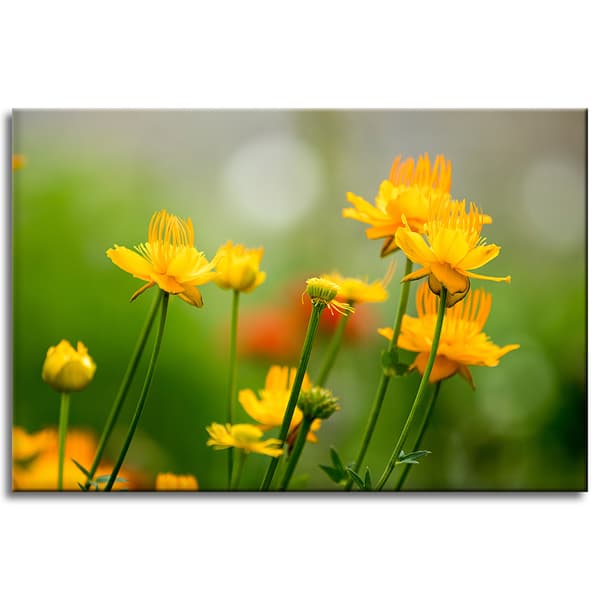 Lærredstryk Botanik Gule blomster 60x40 cm