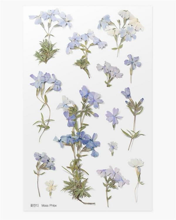 Dekorative blomsterklistermærker - Phlox