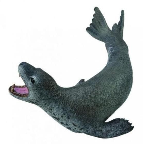 Leopardihylje