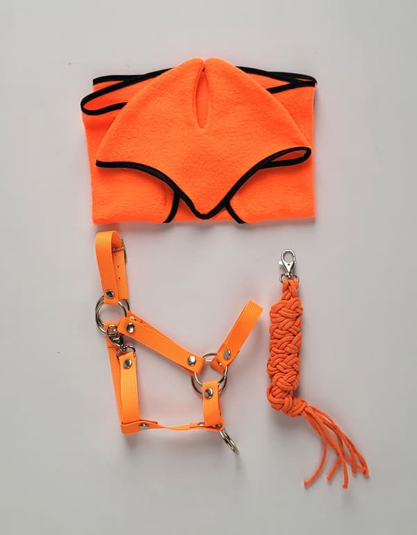 Käpphästset: A3 Grimma + Repkoppel - Neonorange
