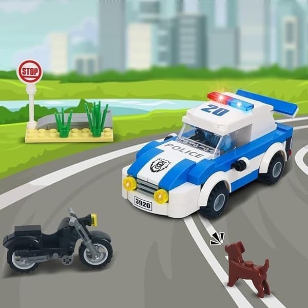 COGO3920 Polis och tjuv