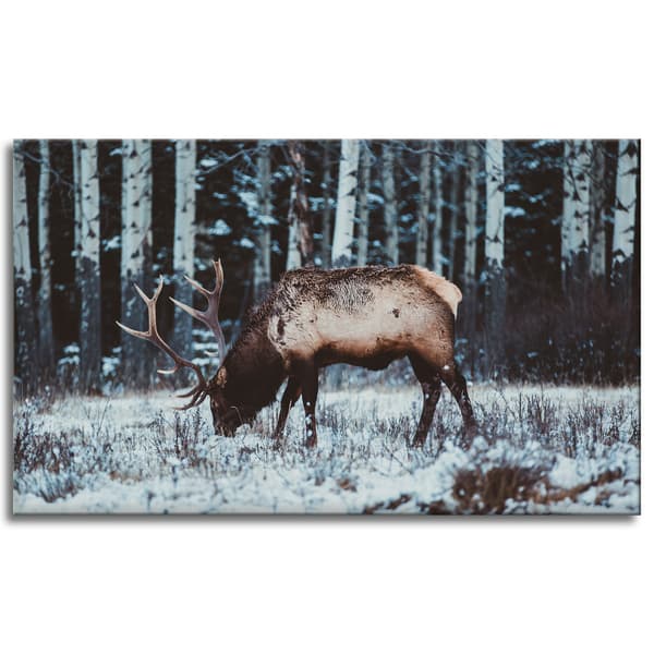 Lærredstryk Dyr Canadisk hjort 100x60