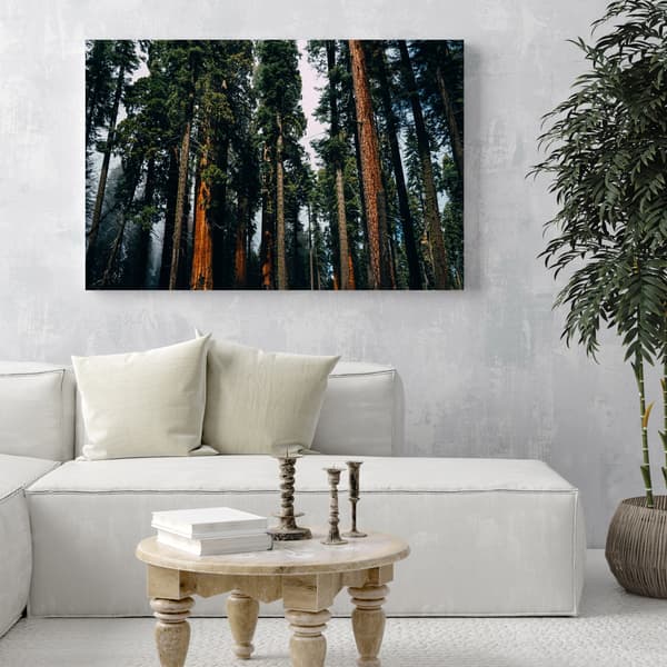 Canvastaulu Luonto Metsä Havupuut 100x60