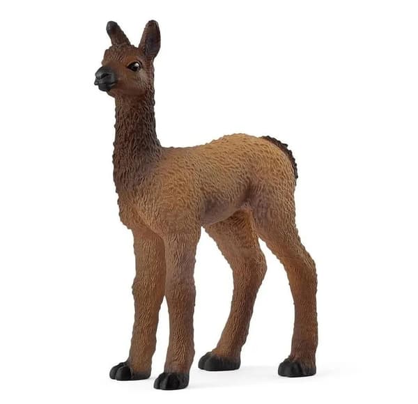 Lille lama