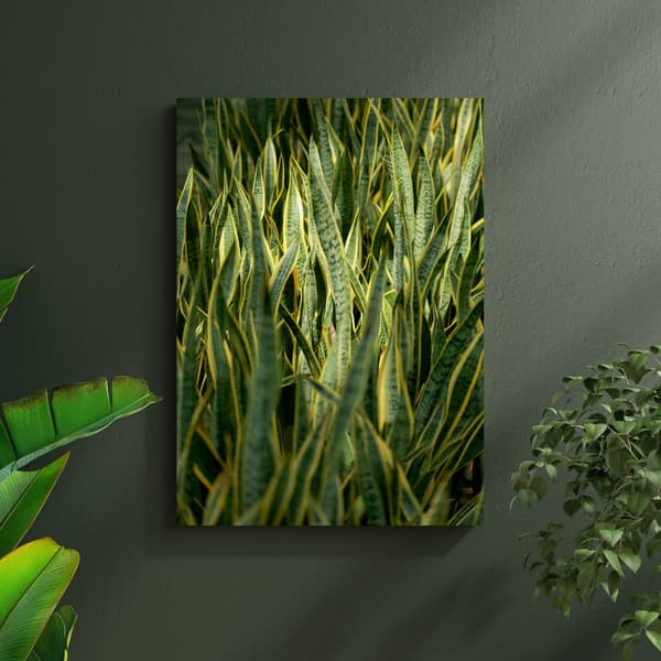Canvastaulu Kasvitiede Vihreä ruoho 40x50 cm