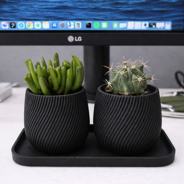 Sæt med 2 mini-urtepotter med sort underkop