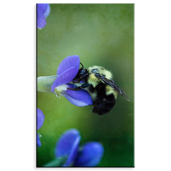 Canvastavla Botanik Biblomma 60x100 cm