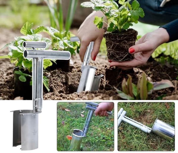 Blomlöksplanterare Plantering av växter Trädgårdsverktyg