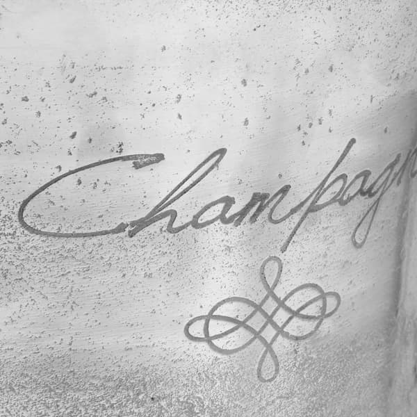 vidaXL champagnekøler 39x29x71 cm sølv