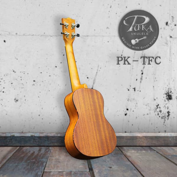 Ukulele PUKA PK-TFC konsertti