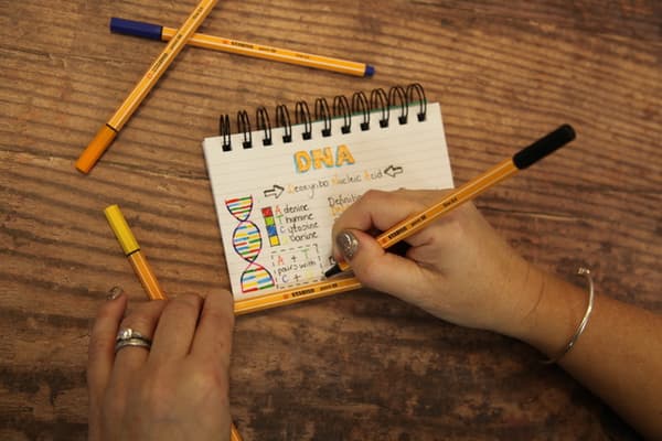 STABILO POINT FINELINER 88/65 UMBRA A'10 3246