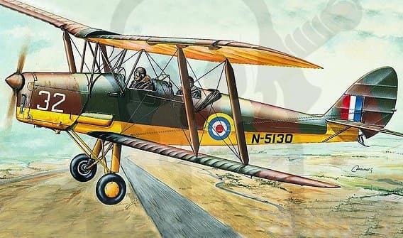 SMER0811 D. H. 82 Tigermøl