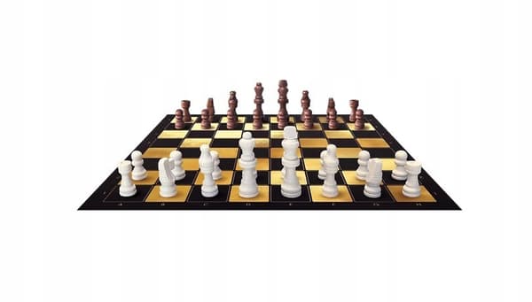 TRÄSCHACKSPEL 02892