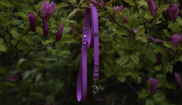 Hexa city hundkoppel, bredd 16 mm, M, 1,8 m/lila