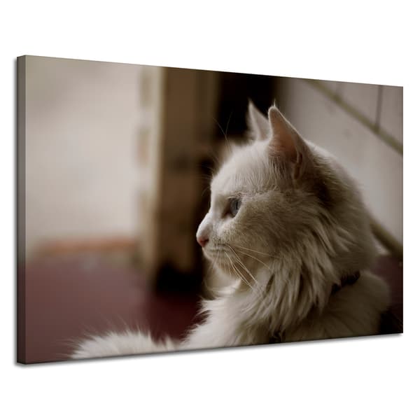 Lærredstryk Dyr Hvid kat 120x80 cm