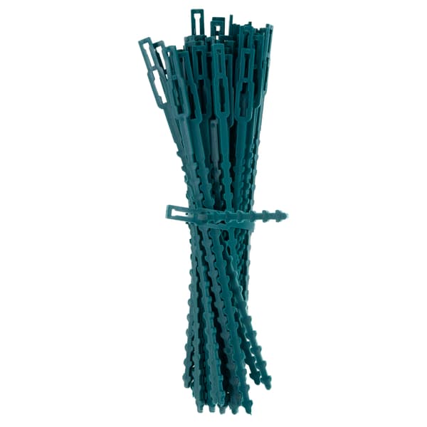 TG77621 VÄXTBAND 50 ST.