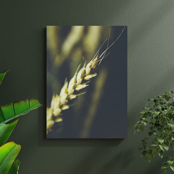 Lærredstryk Botanik Hvedeaks 80x100 cm