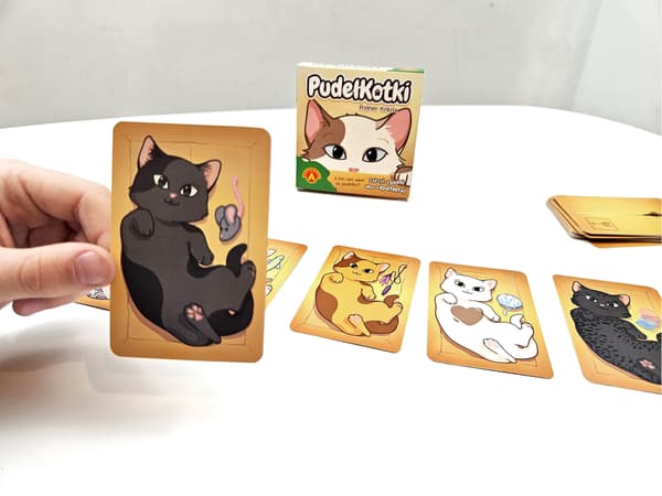 Alexander Pocket Memory Card Game Kattungar
