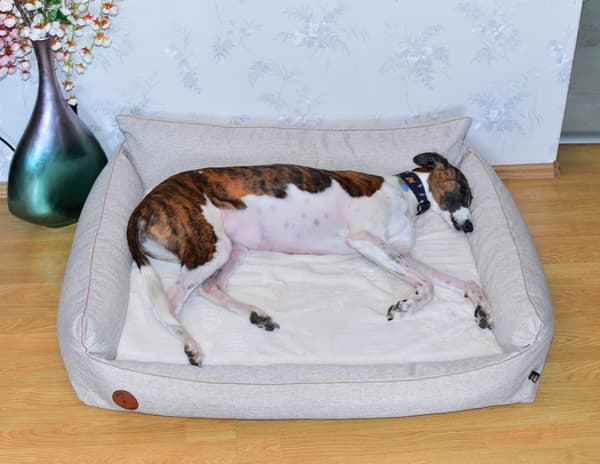 Rocky ortopædisk beige lang seng - 97 cm x 86 cm