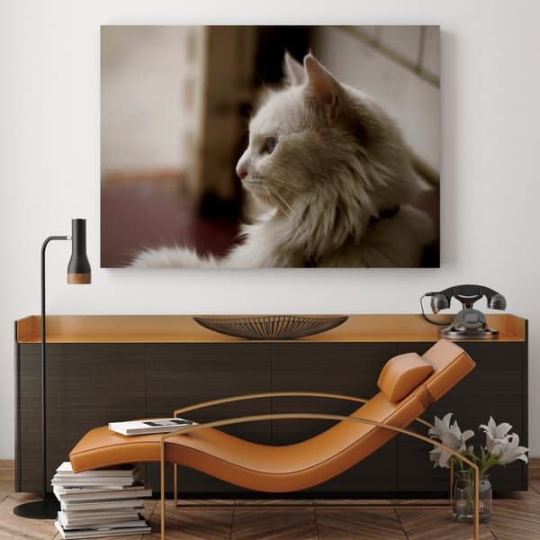 Lærredstryk Dyr Hvid kat 70x50 cm