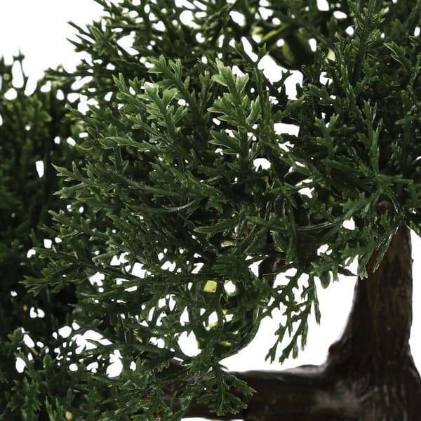 Bonsai-puu mustassa ruukussa 36 cm