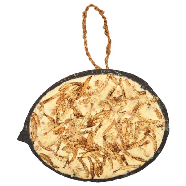 vidaXL fuglefoder i kokoshalvdele, 10 stk., 290 g