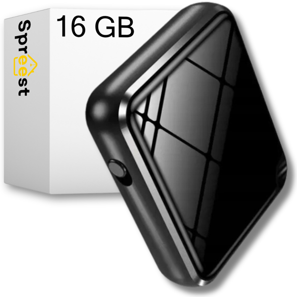 ZD46 16GB sanelukone