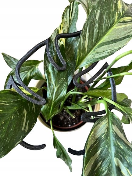 Støttering til blomsterplanter Klemmestøtte RING MONSTERA M 33cm