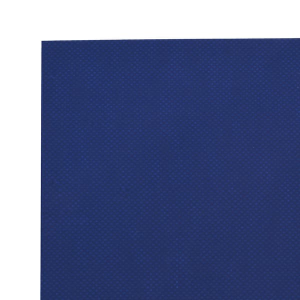 vidaXL Pressu, sininen, 3x6 m, 600 g/m²