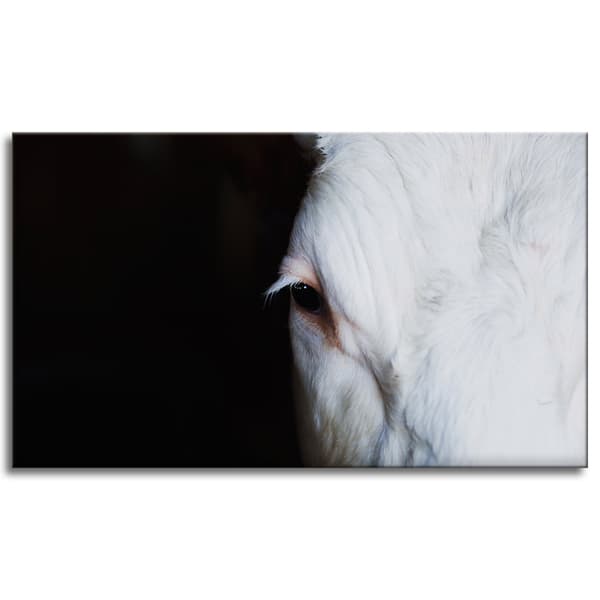 Lærredstryk Dyr Koøje 120x70 cm