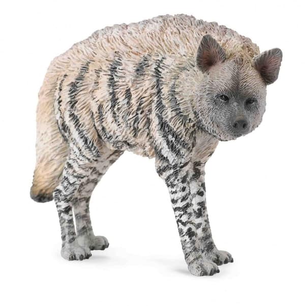 Randig hyena