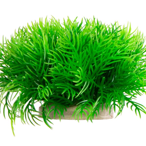 Kruger Meier Plant Slim Green - tekokasvi