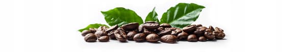 Kaffebønner 500g ITALIA COMO Friskristede til espressomaskine + GRATIS