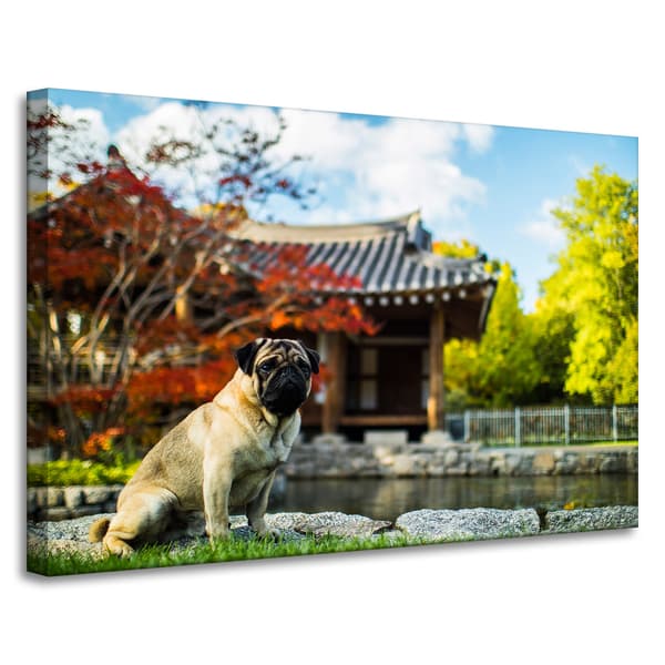 Lærredstryk Dyr Mops Hund 90x60 cm