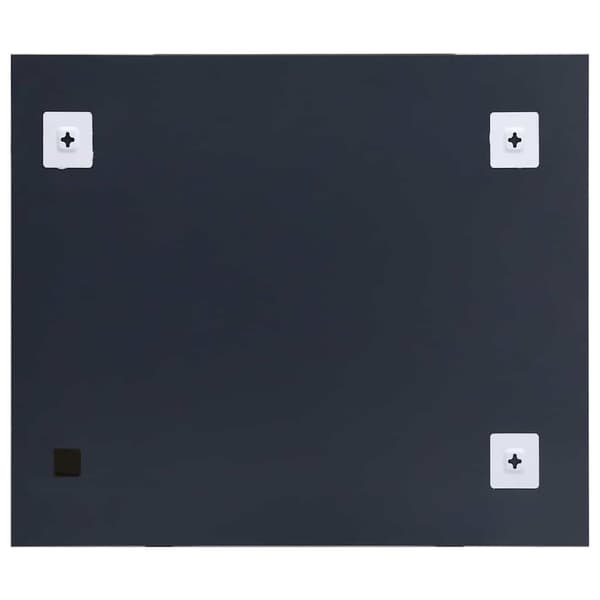vidaXL Väggspegel, 100 x 60 cm, Glas