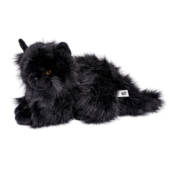 SVART KATT